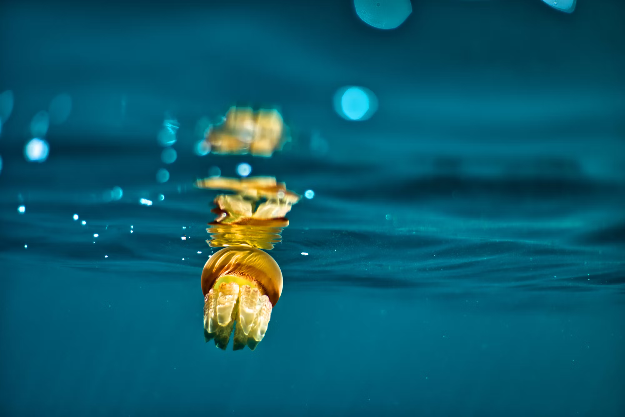 The Art of Stillness: How Meditation Transforms Our Lives